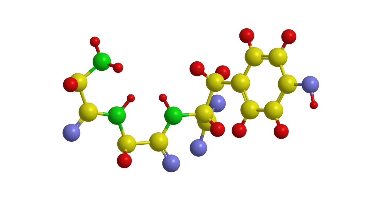 Four(4) Groups of Peptides in anti-aging Skincare