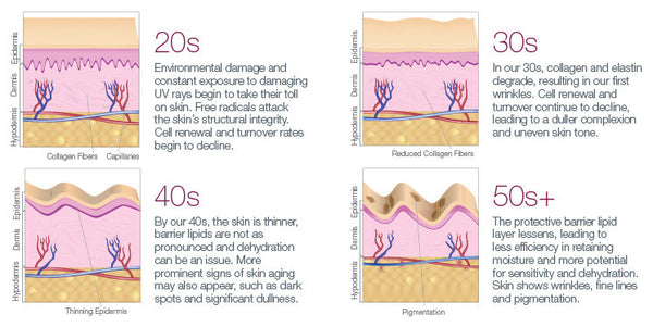 Biotechnology Advancements and Their Implications in the Cosmetic Industry: Part II – Skin Management System by Dr. Strauss
